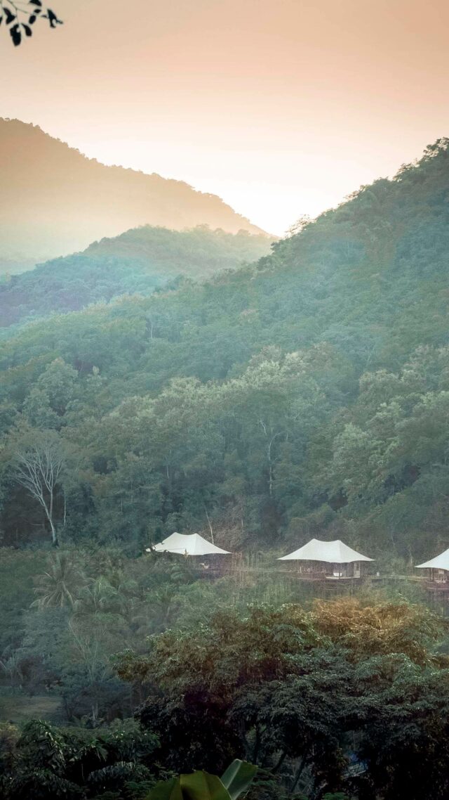 jungle location-rosewood luang prabang laos